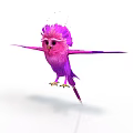 Adorable pink and purple bird with fluffy plumage spreads wings in vibrant pose