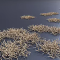 Dry Withered Grass Like Plants in Irregular Clumps Distributed on Dark Background 3d model