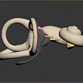 3D Rendered Inner Ear Anatomy Model With Colored Structures And Cochlea