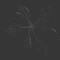 Detailed 3D Rendered Herb Plant With Green Leaves And Slender Stems On Black Background