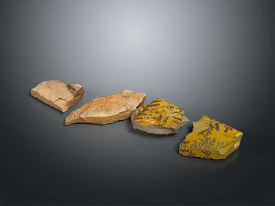 Natural Stone And Wood Material Samples With Various Textures And Colors 3d model