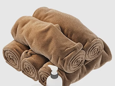 Brown Rolled Bath Towels With Soft Texture And White Pump Bottle 3d model