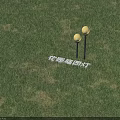 Two Round Globe Garden Lights with Black Poles on Green Grass for Outdoor Decoration