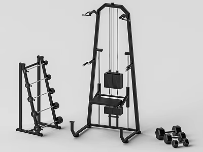 Fitness Equipment Including Multi functional Training Machine Dumbbell Rack And Dumbbells 3d model