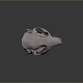 White Animal Skull Featuring Orange Beak On Dark Background 3d model