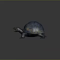 Realistic Blue Turtle With Textured Shell Yellow Stripes Open Mouth And Claws