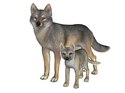 Adult Reptile Standing Together With Baby Offspring On White Background 3d model
