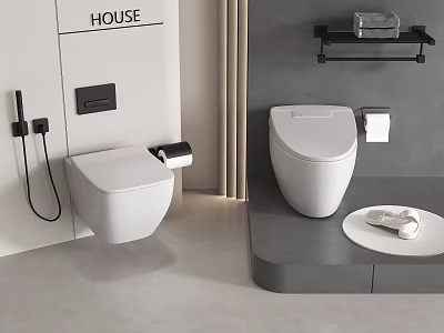 Modern Bathroom Toilet Design With Wall Mounted And Floor Standing Models 3d model