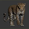 Realistic Spotted Leopard Standing In Lifelike Posture On Gray Background With Detailed Fur