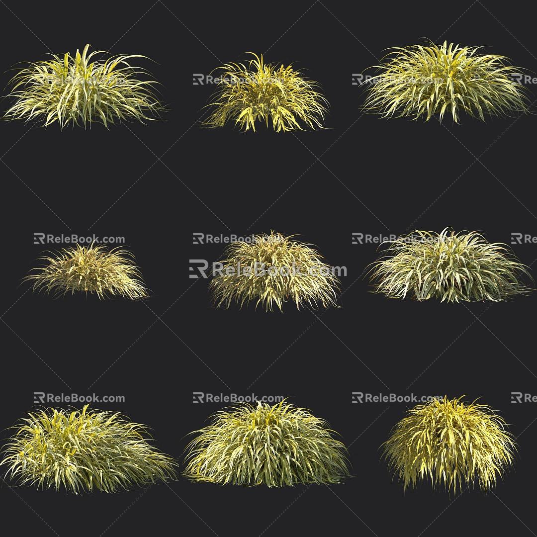 Golden-leaf Hakone Grass Ornamental Grass 3d model