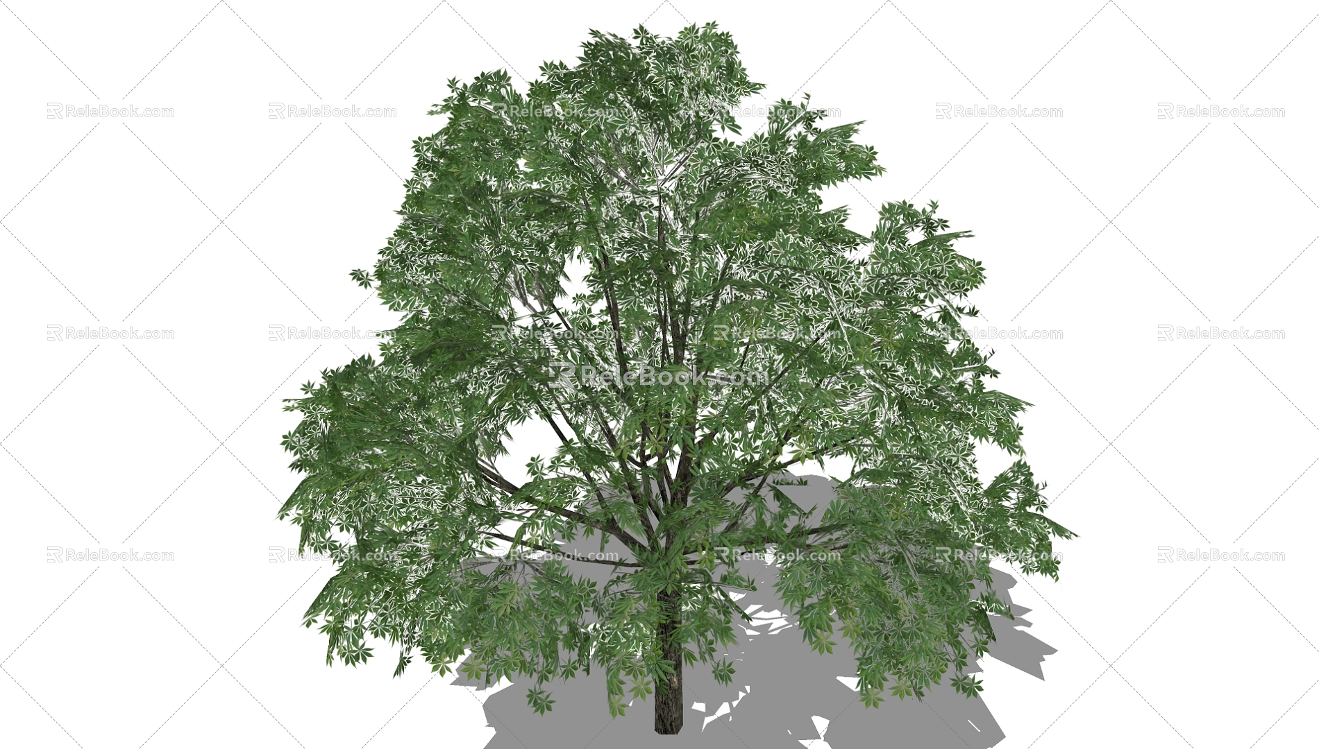 Tree 3d model