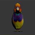 Vibrant Multicolored Small Bird With Bright Colorful Feathers And Vibrant Plumage