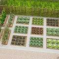 Potted Bonsai Plants In Garden With Wooden Fence And Vegetable Planting Boxes