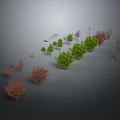 Various Plants With Green Red Leaves Small Trees And Dry Branches