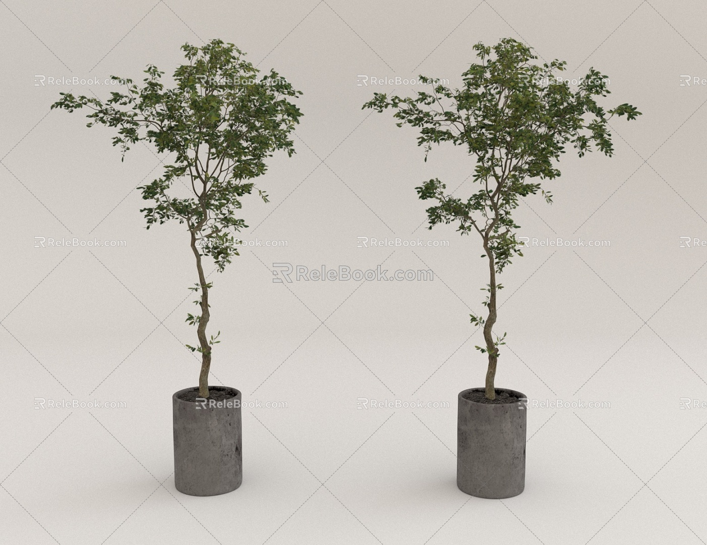 potted green plant 3d model