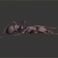 Detailed 3D Ant Model With Purple Body Red Yellow Legs And Grey Gradient Background