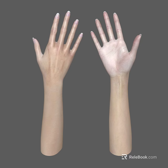 Human Hands and Arms with Different Skin Tones on Gray Background 3d model 