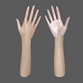 Human Hands and Arms with Different Skin Tones on Gray Background 3d model