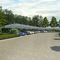 Parking Lot With Canopy Shelters Neatly Arranged Cars Green Trees And Paved Surface