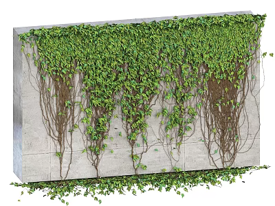 Green Vine Wall Decoration With Lush Leaves On Concrete Background 3d model