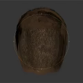 Detailed Realistic Brown Head Fur Featuring Fluffy Dense Textures And Natural Look