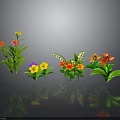 Colorful Flowers With Red Yellow Pink Orange Blooms Lush Green Leaves Against Gray Background Reflections