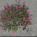 Arbor With Pink Flowers And Green Leaves On Gray Square Tiles People Measuring Height