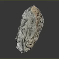 Natural Raw Stone Material With Detailed Surface Texture And Earthy Tones 3d model