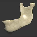 Detailed Realistic Human Mandible Skeletal Organ 3D Model on Black Background