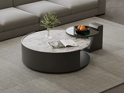 Modern Round Coffee Table With Green Plant Vase Oranges Magazine And Gray Sofa Rug 3d model