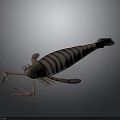 Detailed 3D Modeled Striped Shrimp With Copper Colored Body On Gray Background