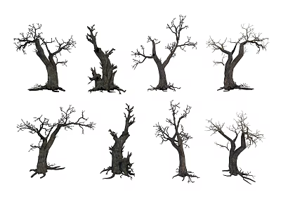 Different Shapes Of Leafless Dead Trees With Twisted Trunks And Exposed Roots 3d model