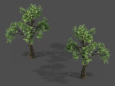 Two Arbor Trees With Lush Green Foliage And Brown Trunks In Natural Growth Form 3d model
