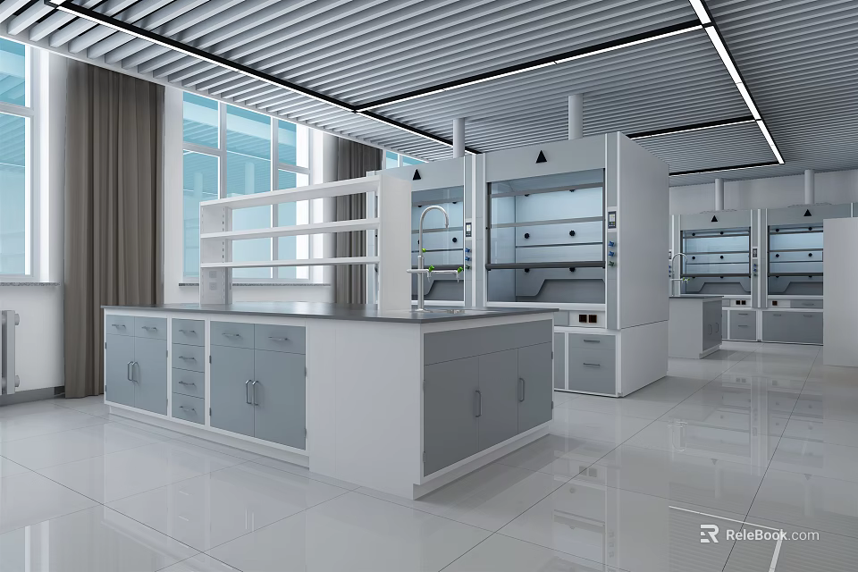 Modern Laboratory Interior With Fume Hoods Lab Benches Cabinets And Windows 3d model 