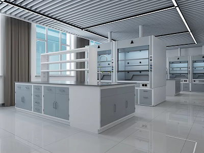 Modern Laboratory Interior With Fume Hoods Lab Benches Cabinets And Windows 3d model