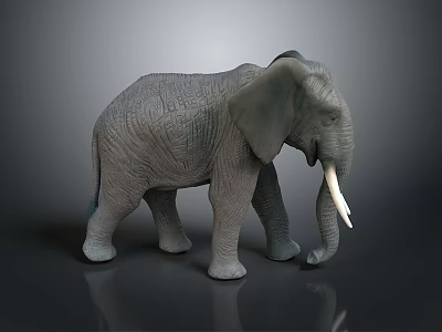 Gray Elephant Model With Ivory Tusks And Skin Texture On Dark Background 3d model