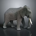 Gray Elephant Model With Ivory Tusks And Skin Texture On Dark Background