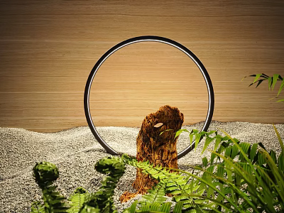 Courtyard Garden Design Featuring Circular Metal Ring Wooden Wall Sand And Ferns 3d model