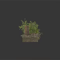Modern Outdoor Wooden Planter Structure With Green Plant And Brick Supports