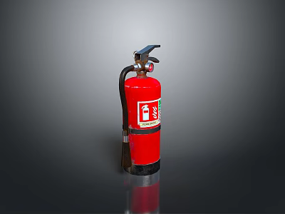 Red Fire Extinguisher with Safety Label and Handle for Home Emergency Use 3d model