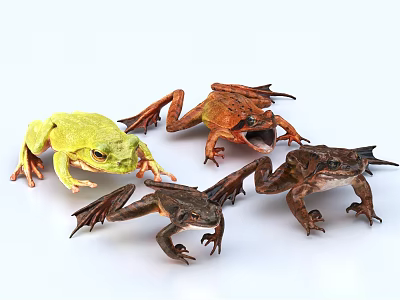 Colorful Reptiles In Various Poses Displaying Diverse Species And Natural Features 3d model