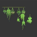 Decorative Hanging Planters With Trailing Vines And Various Styles Suspended On Wooden Rod