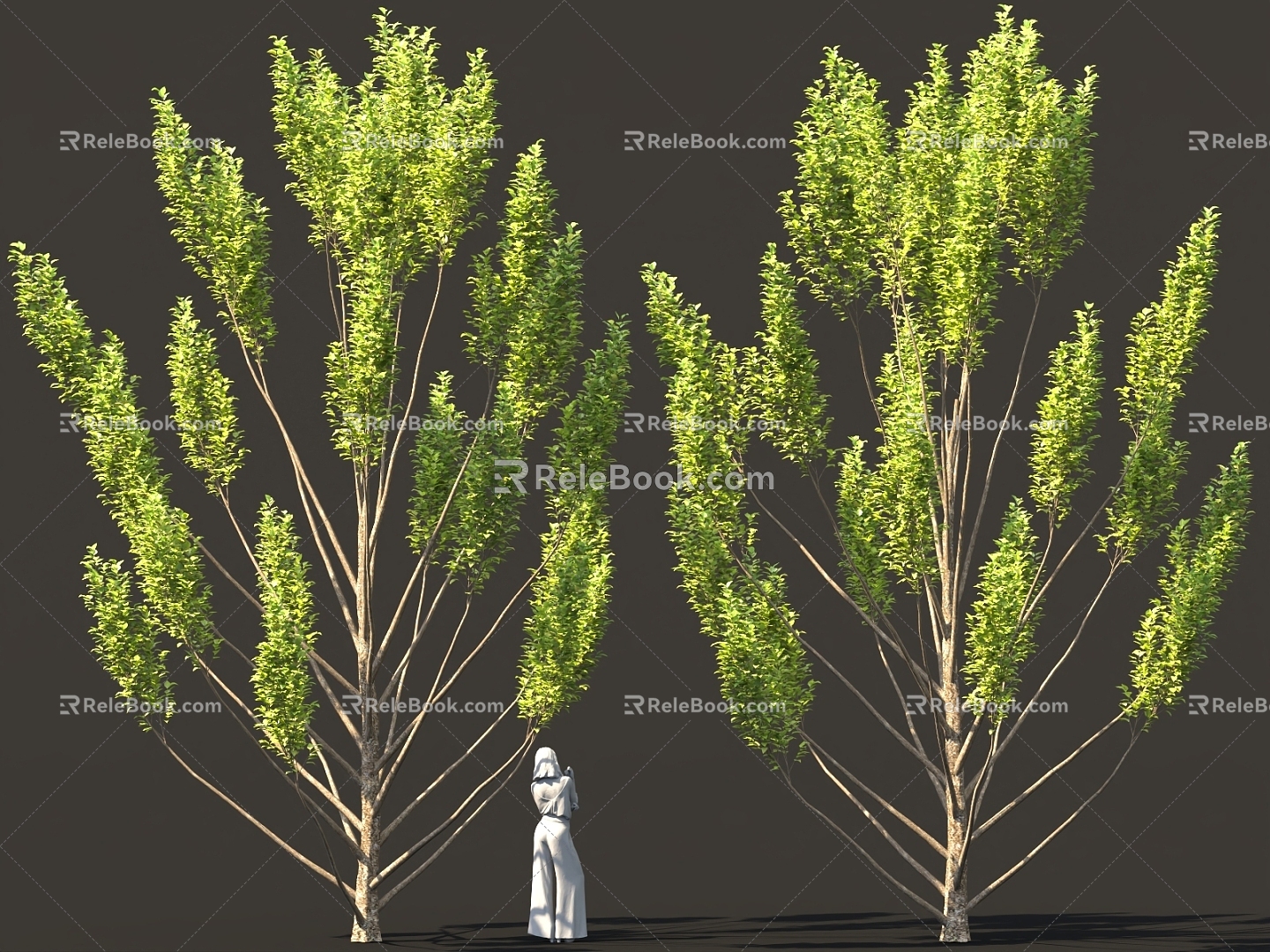 Alien Plant Garden Courtyard Solitary Tree Planting Garden Landscape Tree Bird's Eye View Tree model