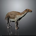 Prehistoric Camel 3D Model with Brown and White Fur Standing on Gray Background