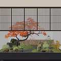 Japanese Garden Courtyard With Red Maple Tree Stone Pathway And Wooden Screens