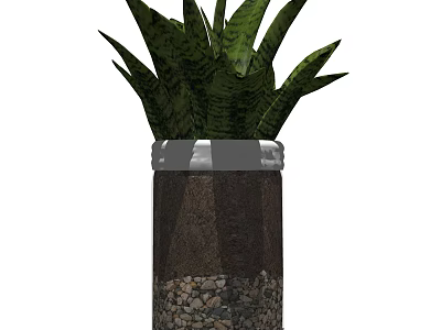 Decorative Green Leafy Bonsai Potted Plant with Stone Layer and Silver Rim 3d model