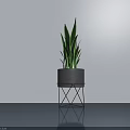 Potted Plant With Long Green Leaves In Gray Pot On Metal Stand For Modern Interior