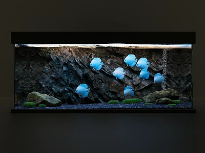 Aquarium Fish Tank Aquascape Design With Blue Fish Rock Background And Green Aquatic Plants 3d model