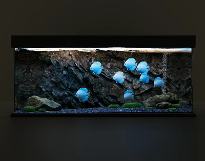Aquarium Fish Tank Aquascape Design With Blue Fish Rock Background And Green Aquatic Plants 3d model