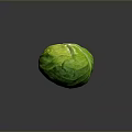 Fresh Organic Green Cabbage With Crisp Vibrant Leafy Layers On Dark Background